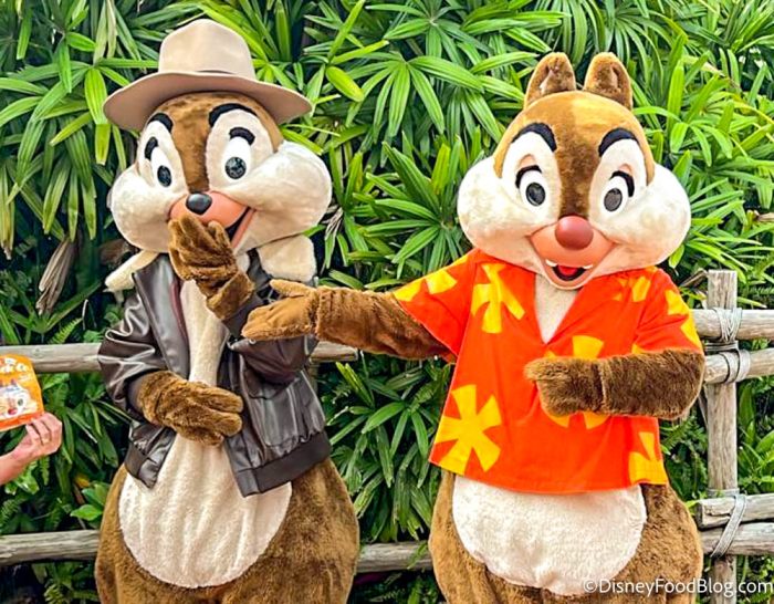 PHOTOS: We Met Chip and Dale in SPACE Costumes at Disney World