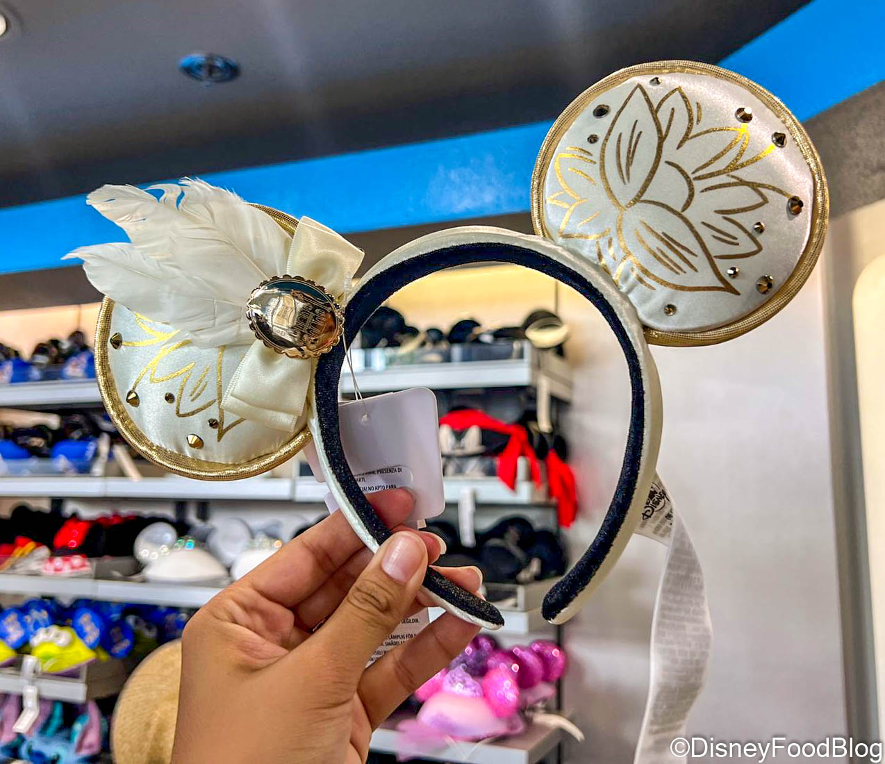 We Found a $500 Pair of Ears in Disney World 😲