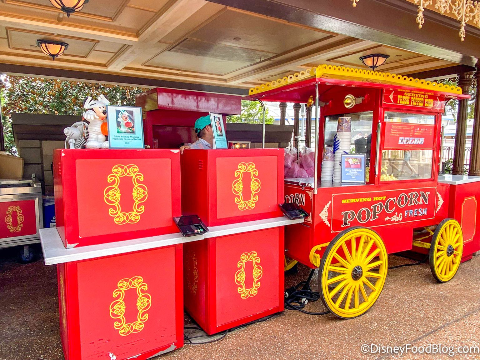 best food cart disney world magic kingdom