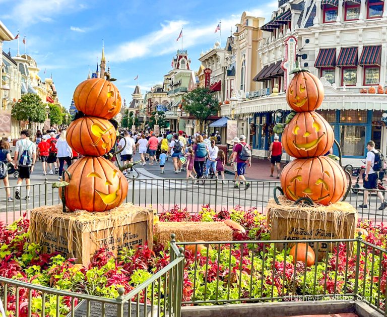 Cinderella Pumpkin Wreaths Have RETURNED to Magic Kingdom! | the disney ...