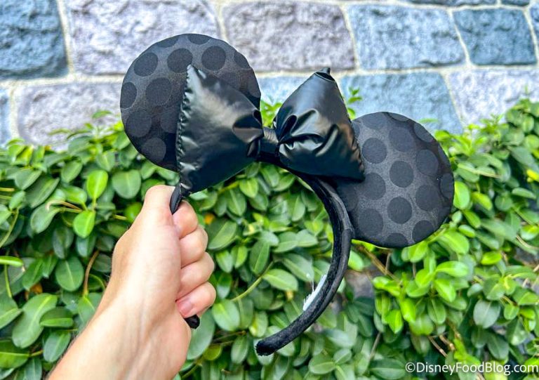 We Just Found The Perfect Minnie Ears For The Person Who Only Wears ...