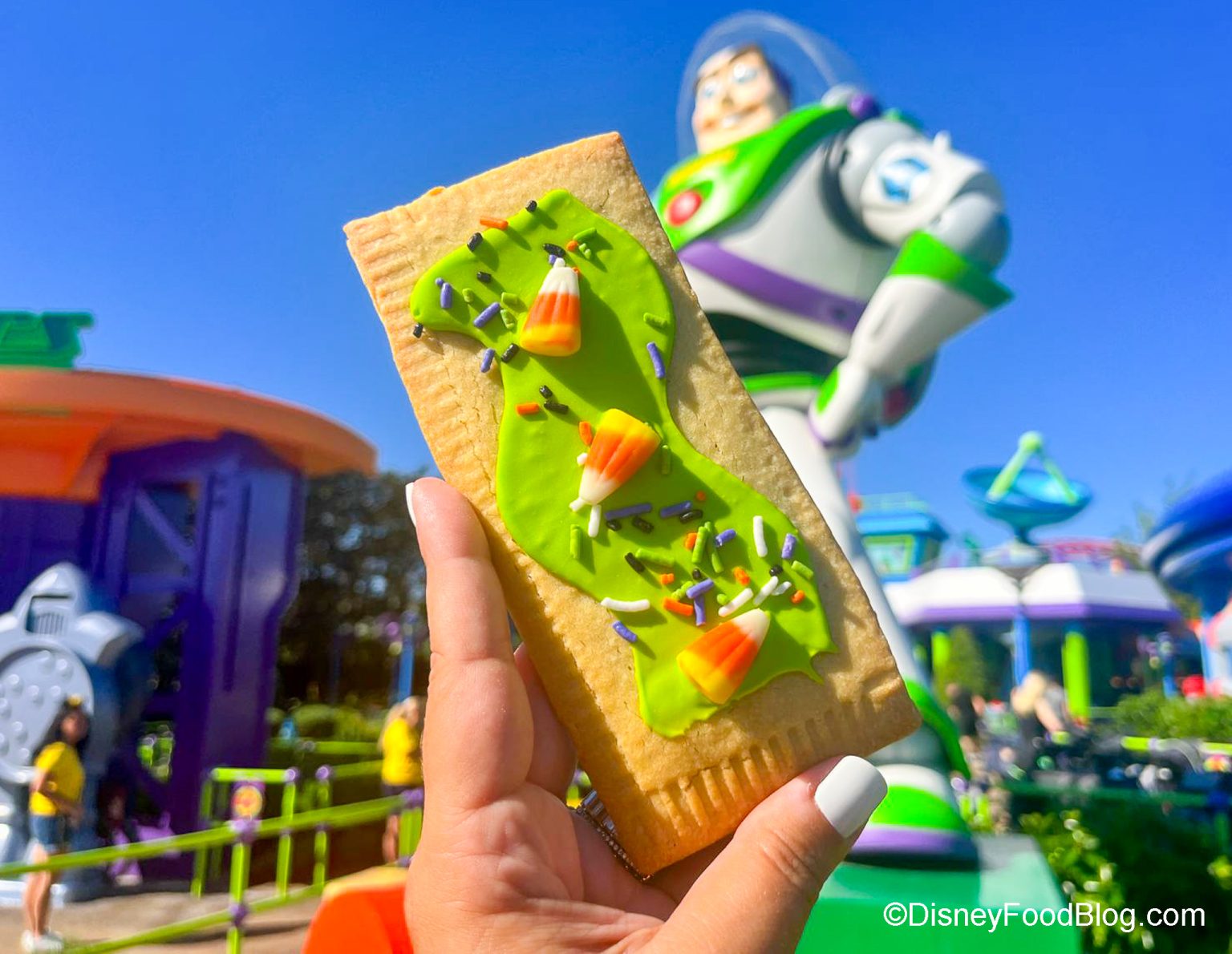 Come Try the NEW Pumpkin Lunch Box Tart in Disney World With Us! | the ...