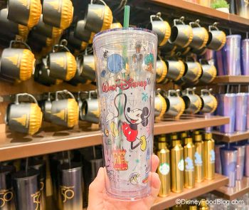 The Newest Starbucks Cup in Disney World Is FULL of Details — Can You ...