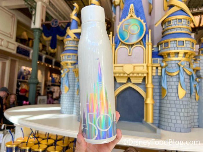 Magical Disney Castle Water Tumbler