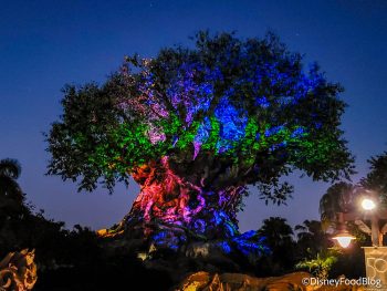 A Popular Animal Kingdom Attraction Will Disappear Tomorrow | the ...