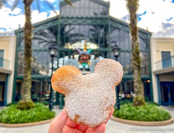 ALERT! 🎃 Pumpkin Spice 🎃 Mickey Beignets Have Returned to Disney World ...