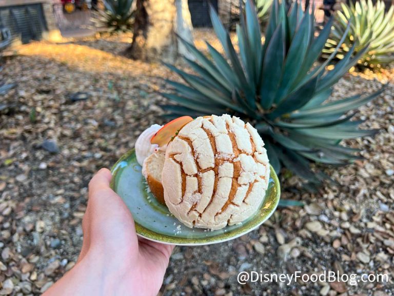 REVIEW: The Pan Dulce Ice Cream Sandwich at Rancho del Zocalo in ...