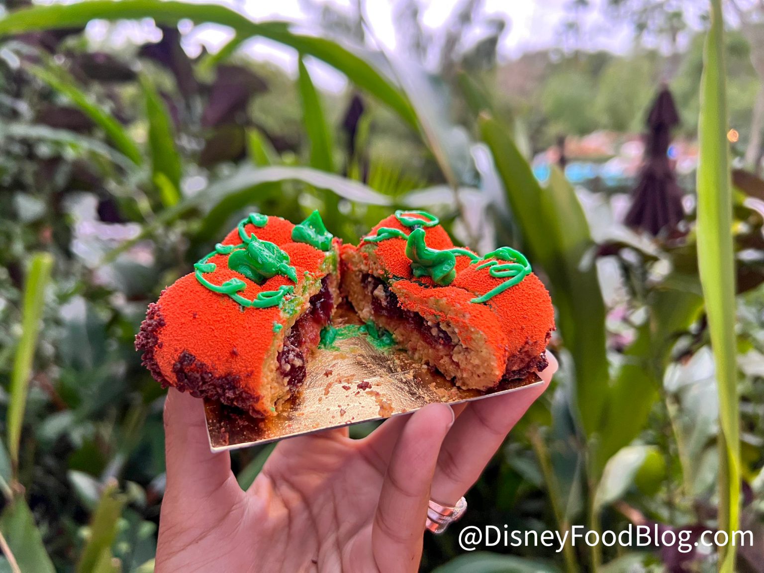 REVIEW: The Mara Pumpkin Patch From The Mara at Disney's Animal Kingdom ...