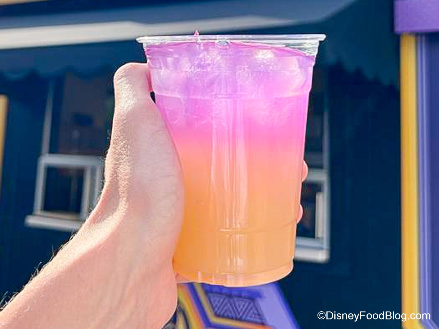 REVIEW Flavors of Wakanda Food Booth at Disneyland Resort Disney