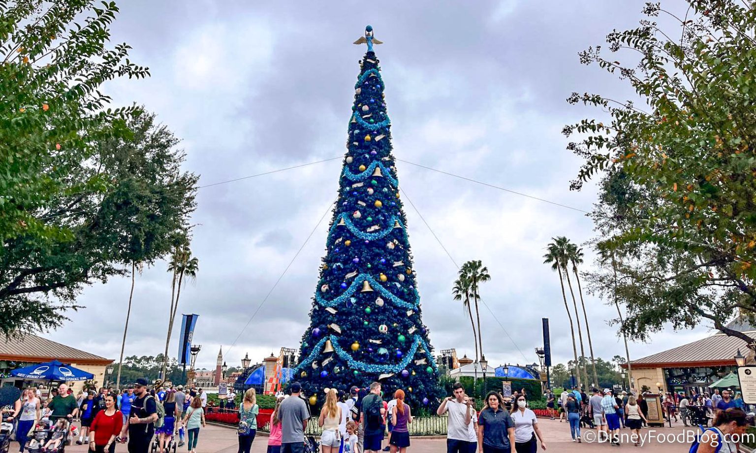 PHOTOS The Christmas Tree Is Finally UP in EPCOT the disney food blog