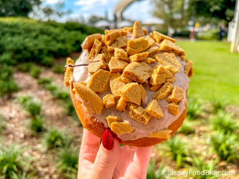 FULL REVIEW: The Donut Box Holiday Kitchen at the EPCOT Festival of the ...