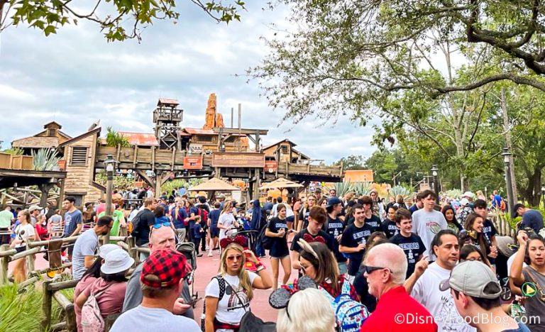 PHOTOS: The Crowds & Wait Times are Making Us Cringe in Disney World ...