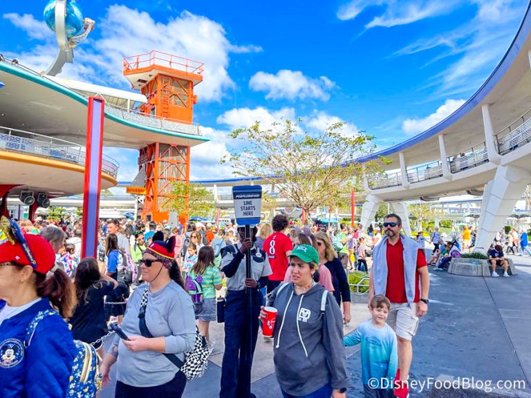 PHOTOS: The Crowds & Wait Times are Making Us Cringe in Disney World ...