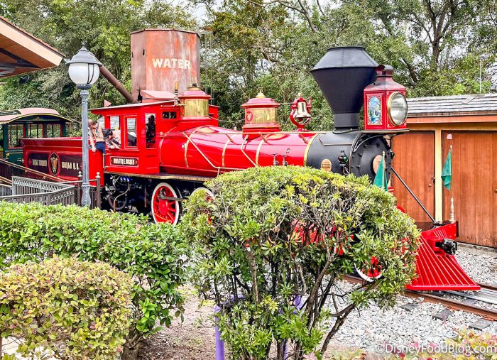 Walt Disney World Railroad -- Magic Kingdom 