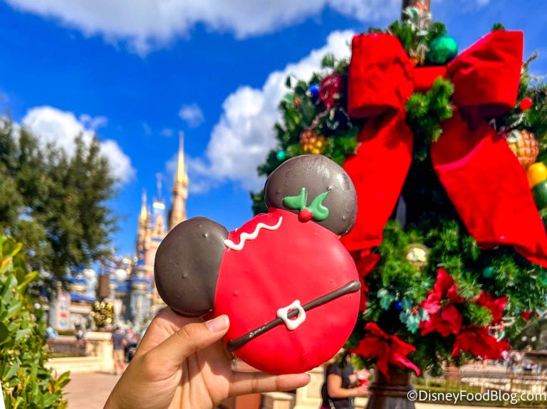 REVIEW Starbucks Holiday Drinks Are BACK in Disney World! Disney by Mark