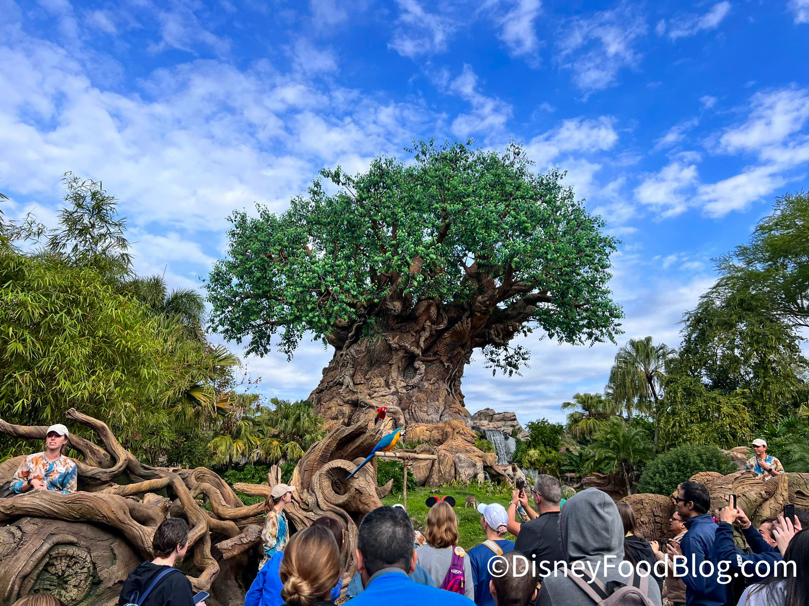 how-expensive-is-too-expensive-for-mickey-ears-see-the-newest-pair-in