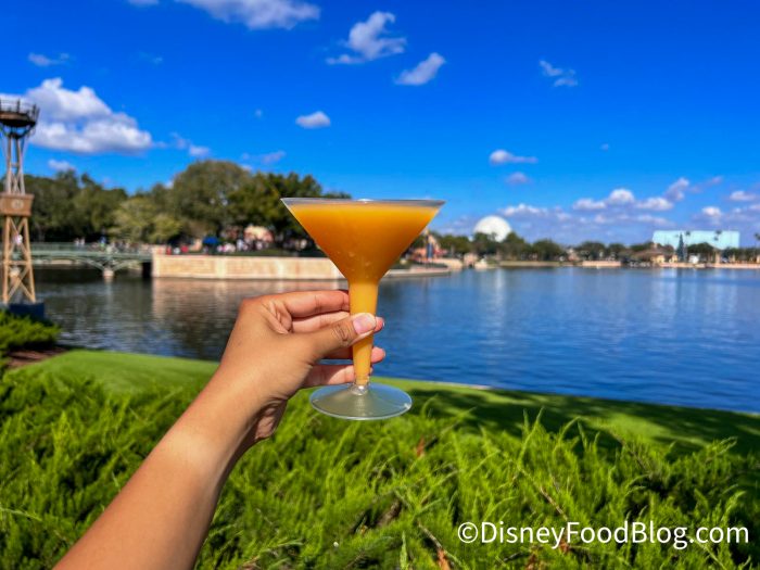 drinking tour at epcot location