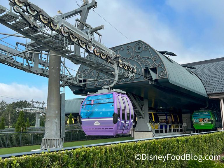 Don’t Forget! Disney World’s Skyliner Will Temporarily Close SOON ...