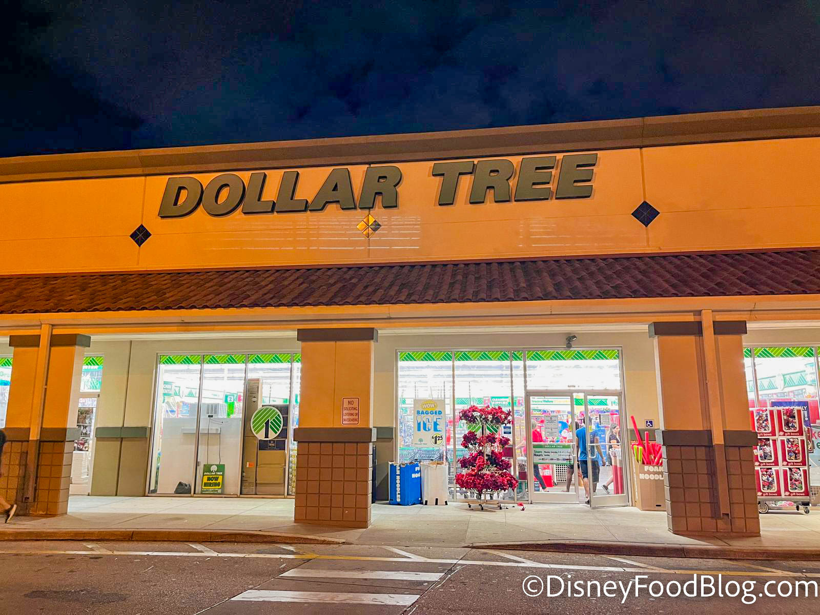 25 Things To Buy At Dollar Tree BEFORE Your Disney Trip
