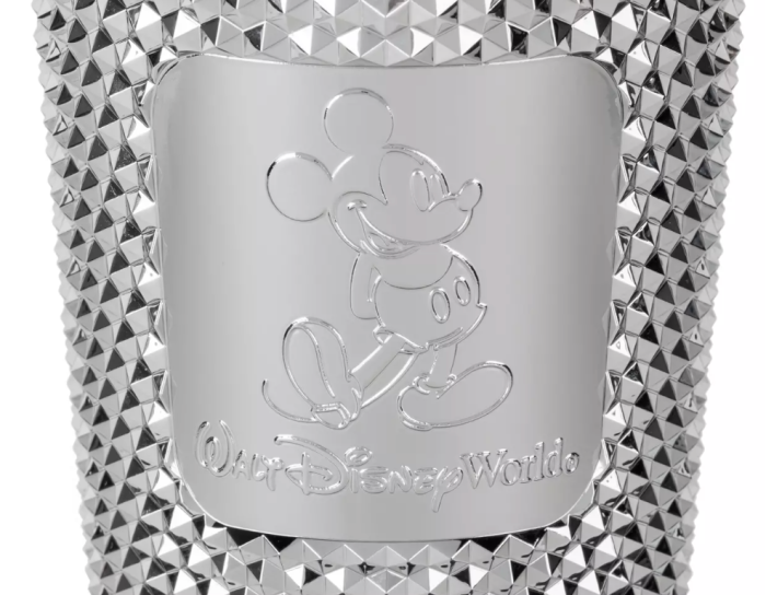 DLR - 100 Years of Wonder - Starbucks Disneyland Studded Tumbler Sparkling  Silver