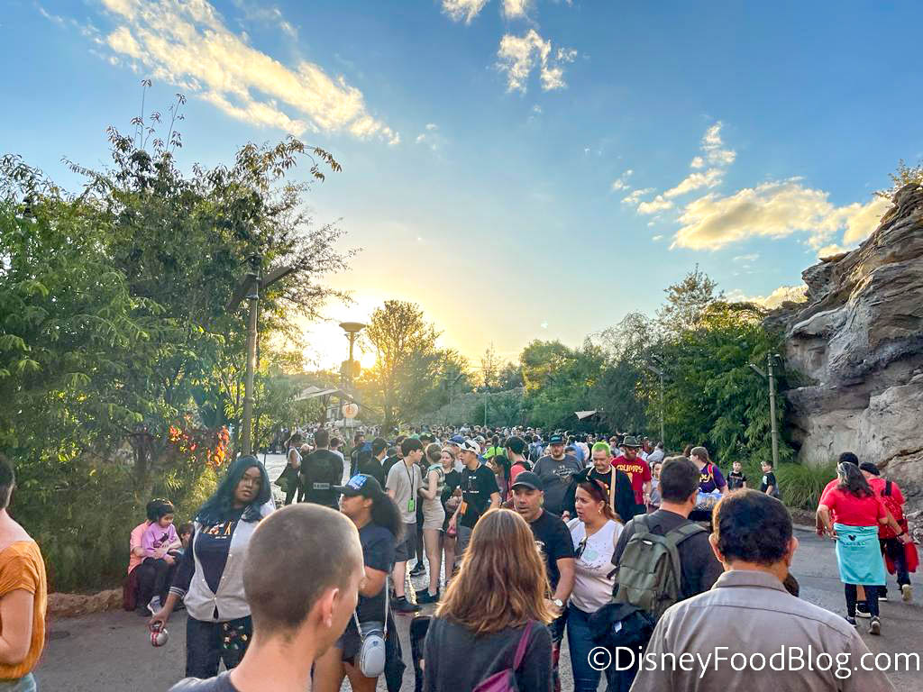 Mysterious Alarm Causes Rise of the Resistance CLOSURE in Disney