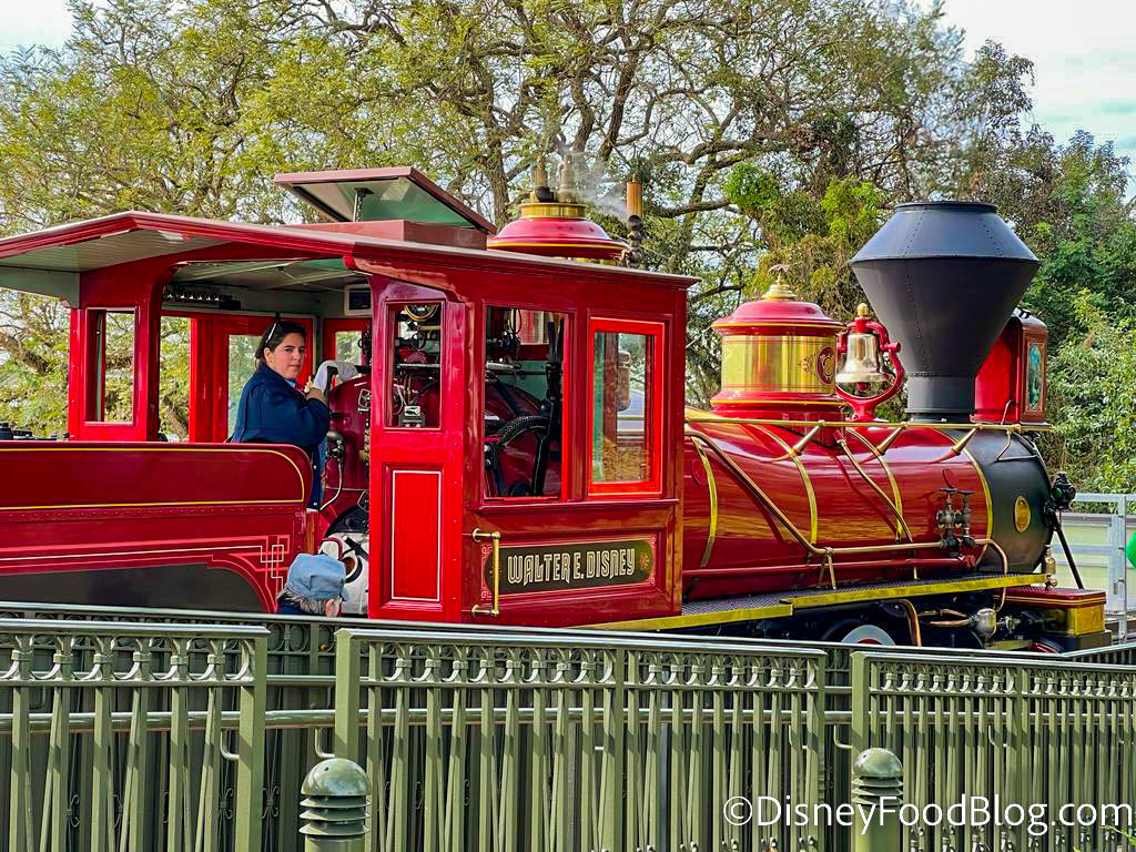 The WRONG Time to Ride the Disney World Train the disney food blog