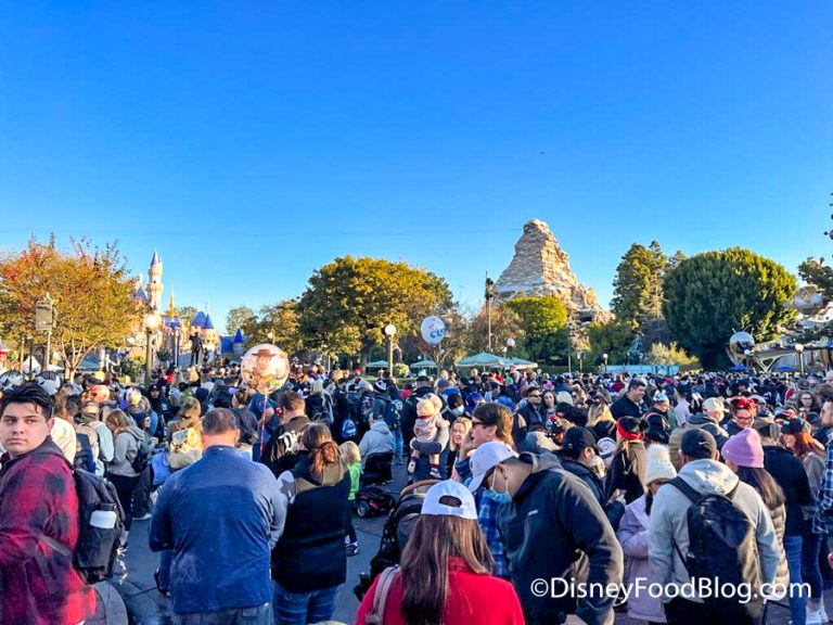 See the SHOCKING Crowds on the First Day of Disney's 100th Anniversary ...