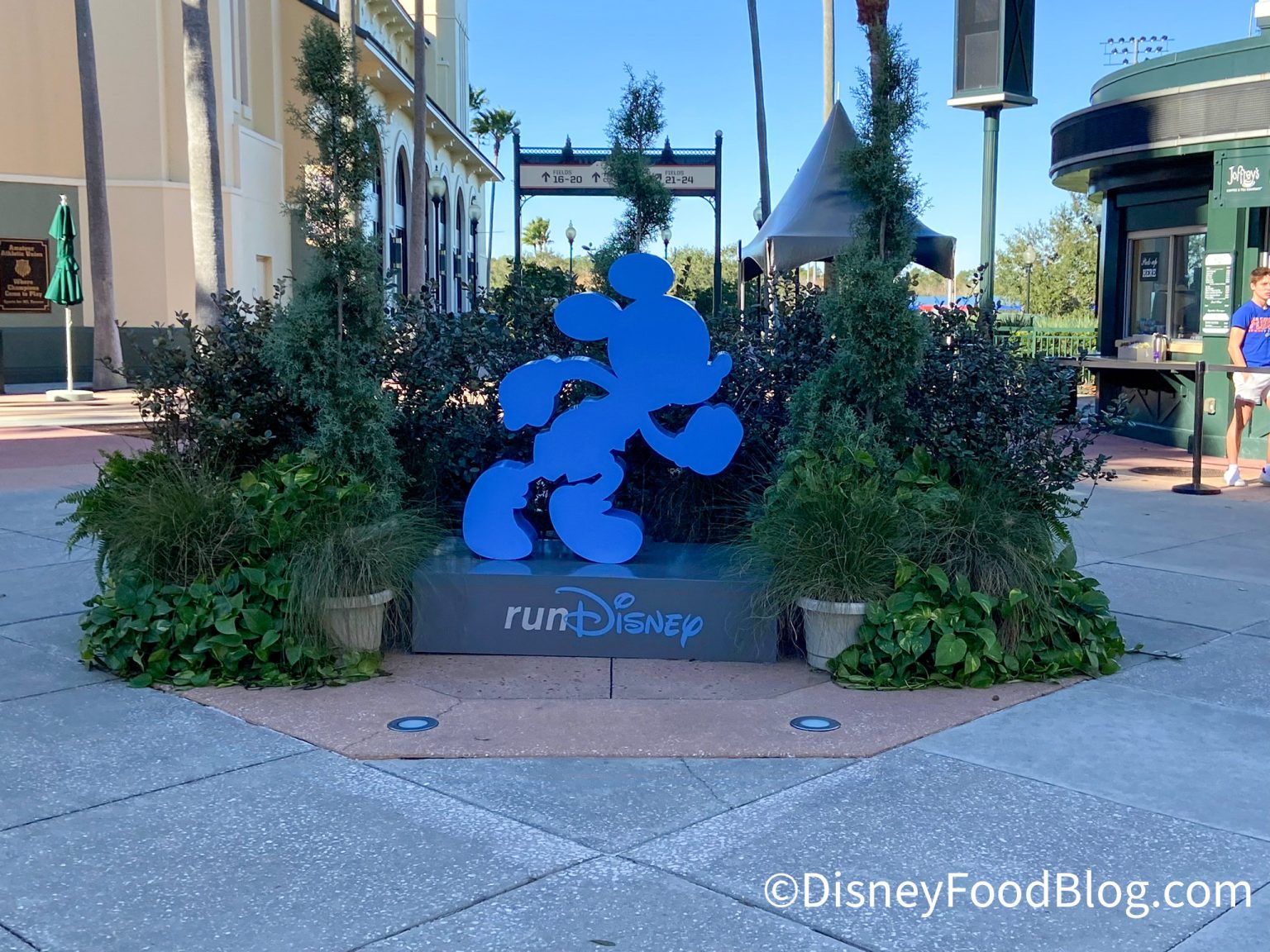 DATES ANNOUNCED for 20242025 runDisney Races Disney by Mark