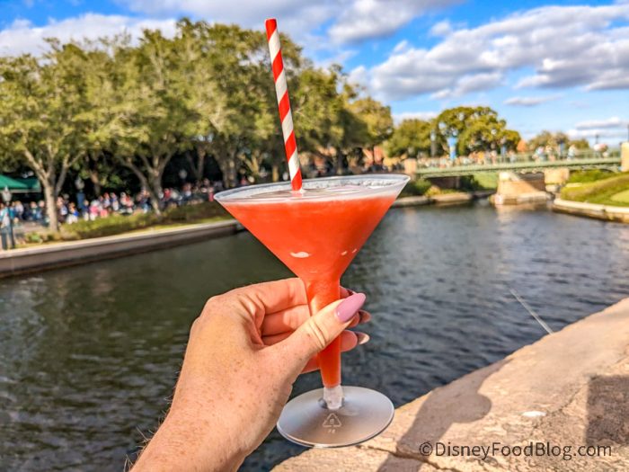 drinking tour at epcot location