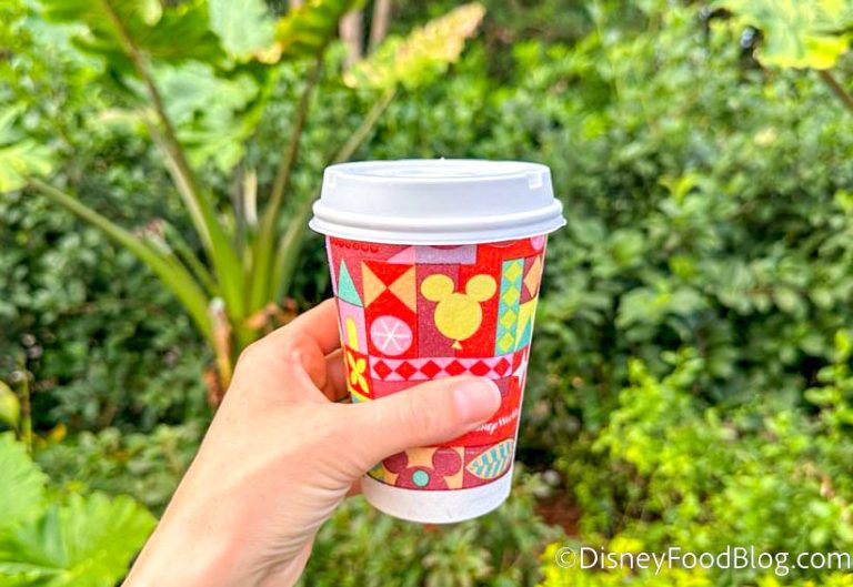 The Ultimate Guide to the Best Coffee in Disney's Hollywood Studios ...