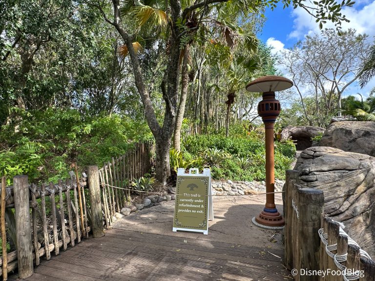 What's New at Disney's Animal Kingdom: Tree of Life Trails Are CLOSED ...