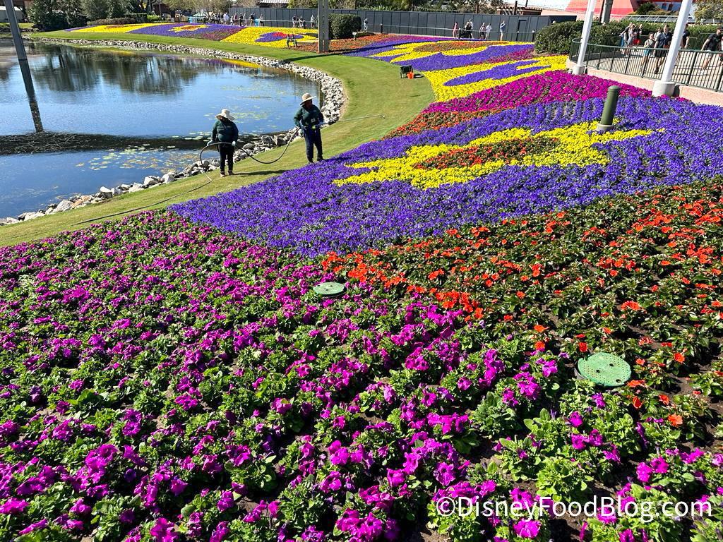 First Look: 2022 EPCOT International Flower & Garden Festival Now Blooming