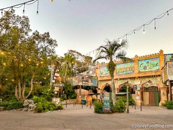 What's New at Disney's Animal Kingdom: Two Loungefly Backpacks! | the ...