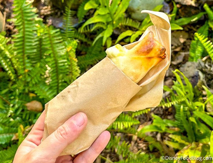 Our Honest Thoughts on Pongo Lumpia — a CONTROVERSIAL Disney World Snack