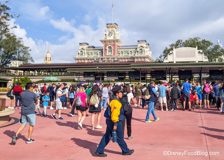 PHOTOS: The Unexpected Crowds in Disney World This Weekend | the disney ...