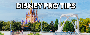 Disney World PRO Tips