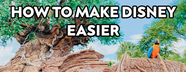 25 Tricks to Make Disney World Easier