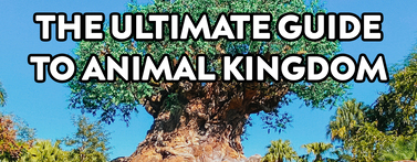 The ULTIMATE Guide to Animal Kingdom