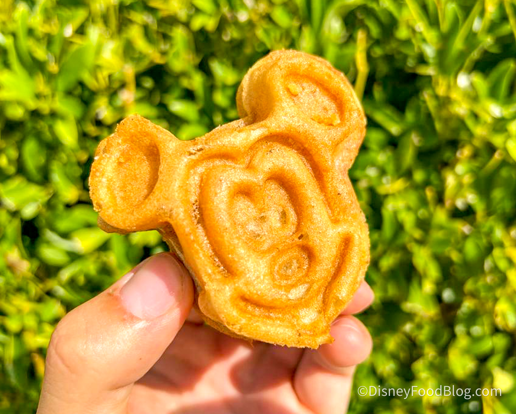 The Stitch Waffles 🧇 is Better Than a Mickey Waffle. Case Closed. #mi