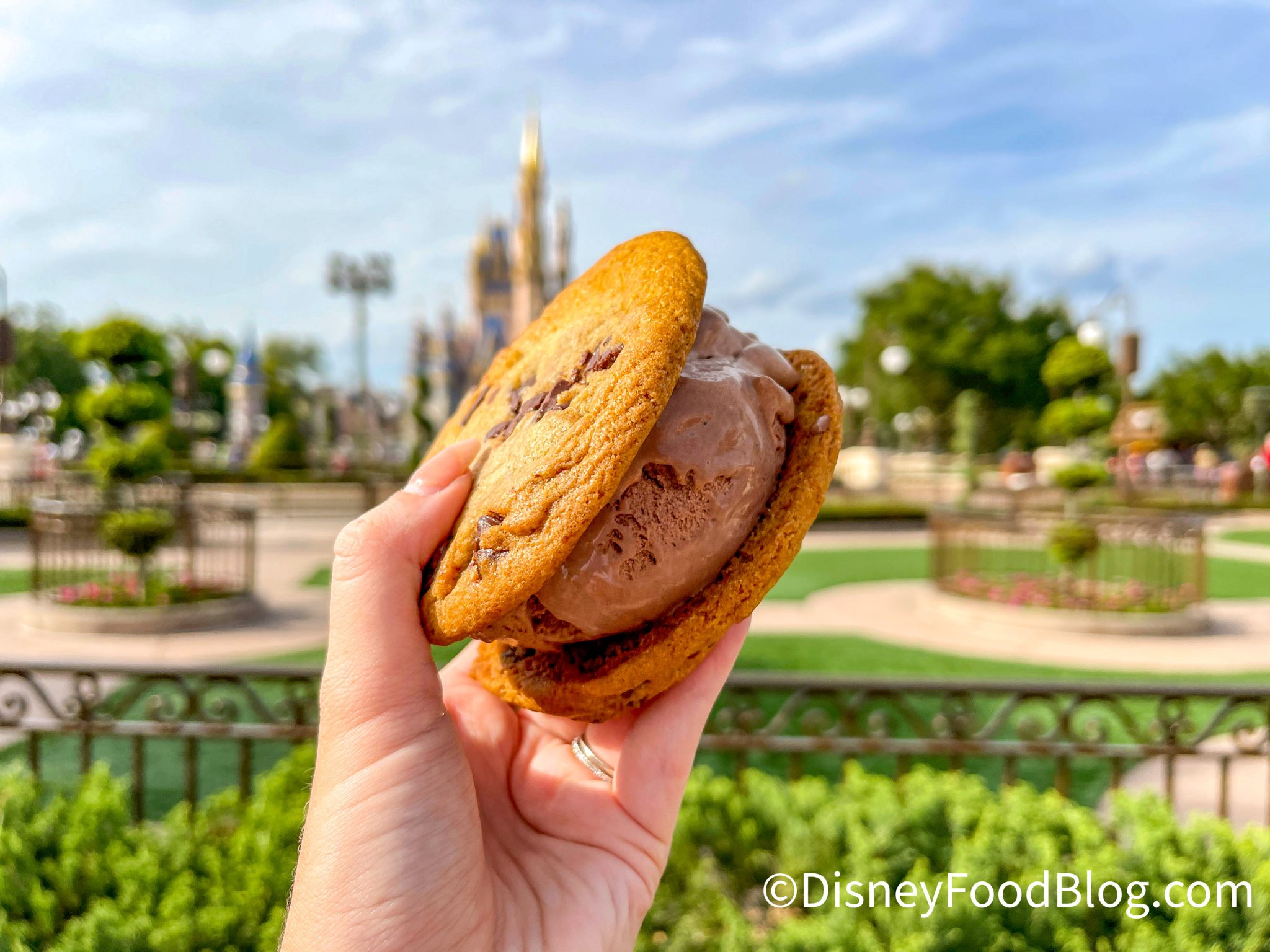 The Definitive List of the Very BEST Cookies in Disney World | the ...