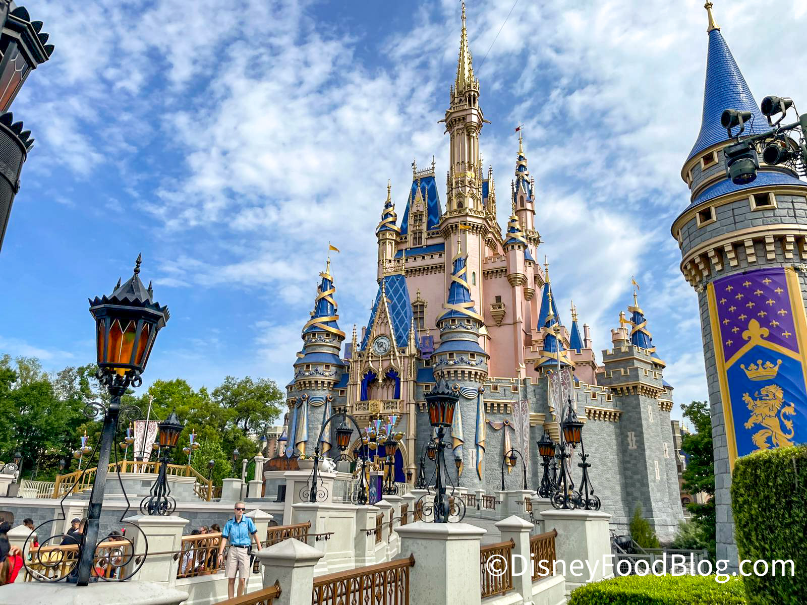 Walt Disney World Florida - Walt Disney World Florida travel guide – Go  Guides