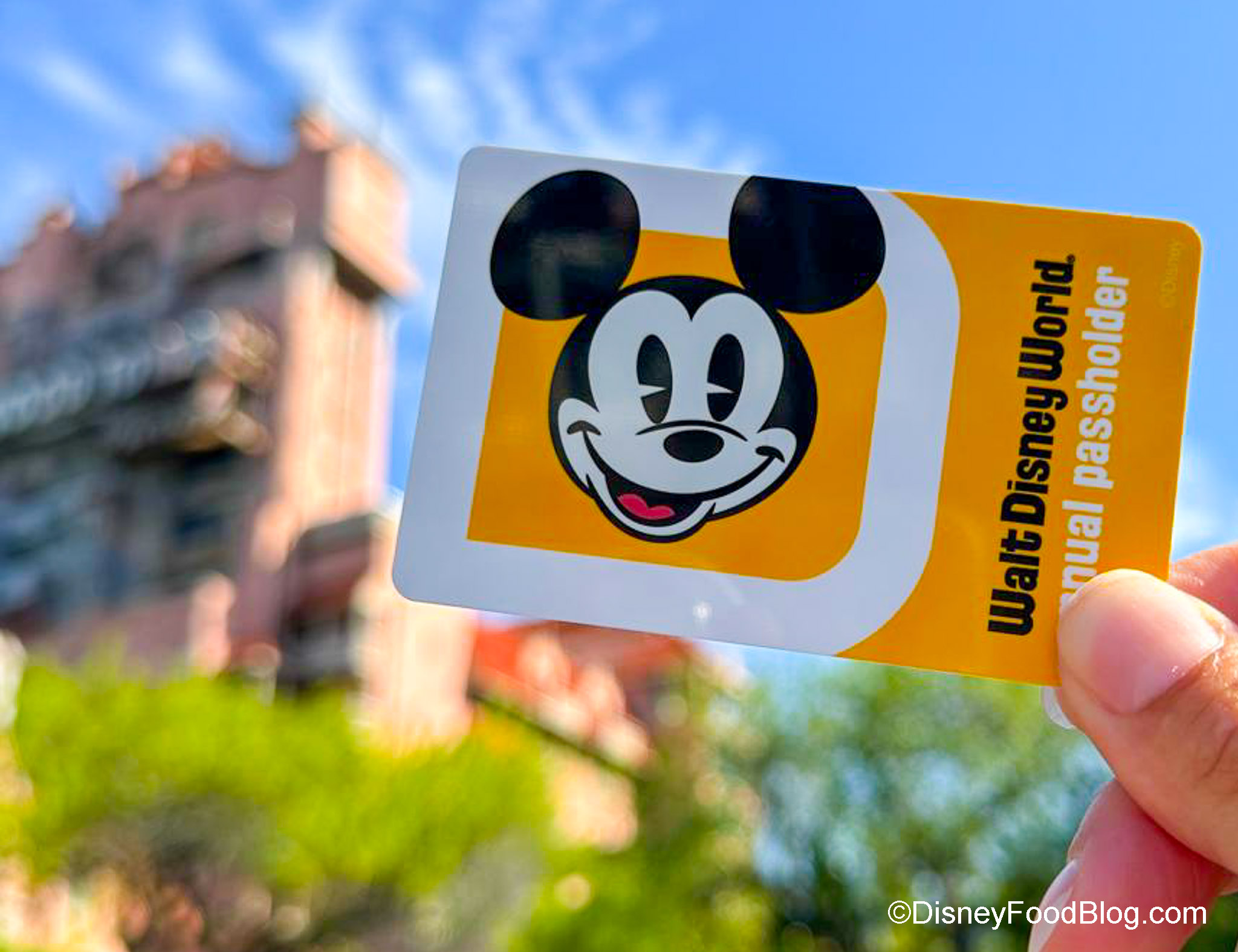 Alright, You Want to Buy a Disney World Annual Pass. We're
