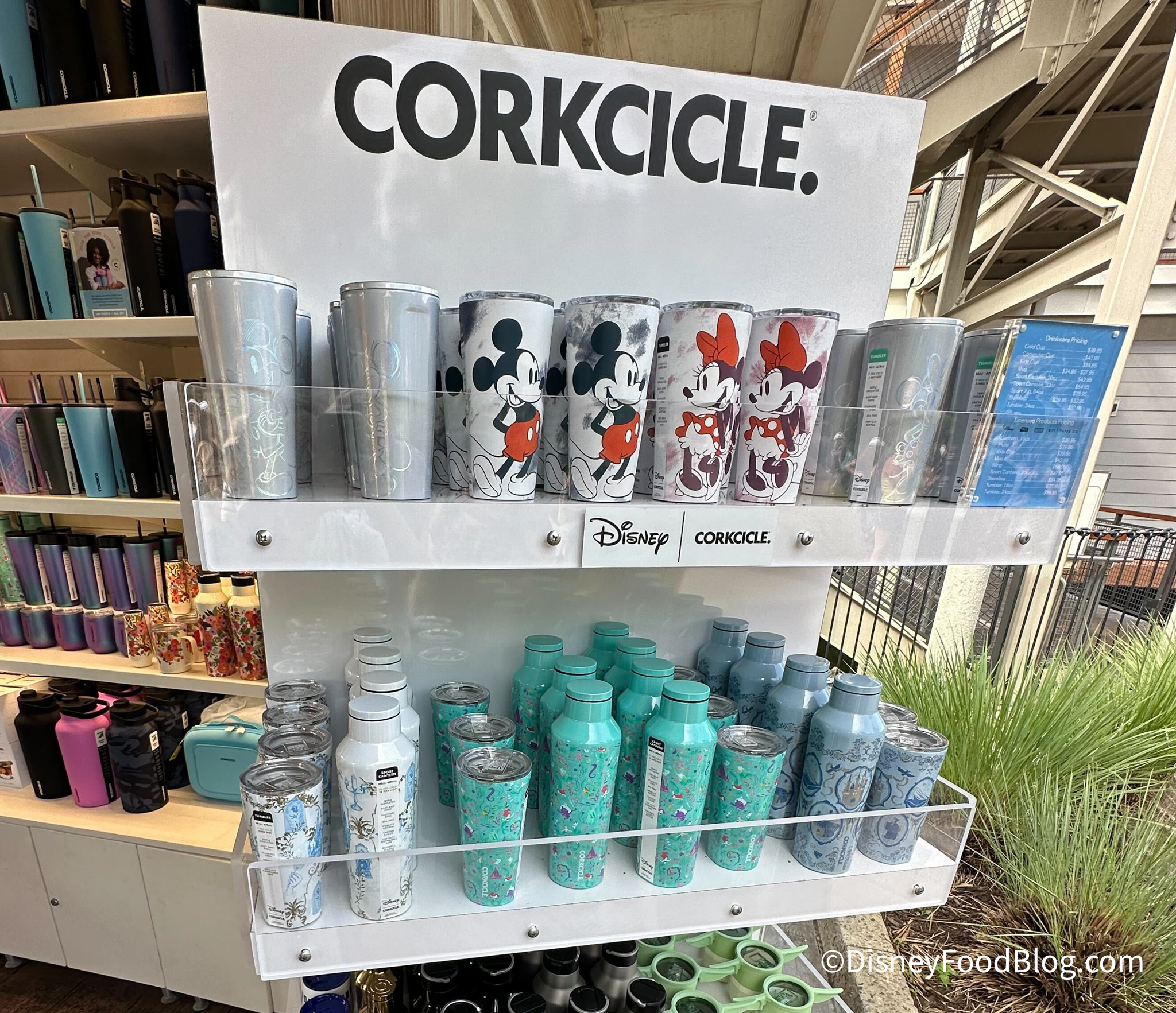 You Can Score 20% OFF Disney Corkcicles — But You'll Want To Hurry