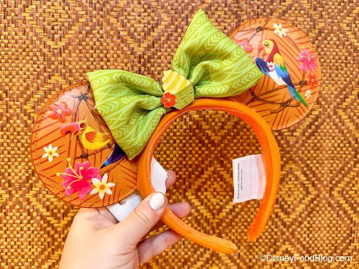 Mickey Mouse Pride Ears – 2023 – Minnie Ear Collectors