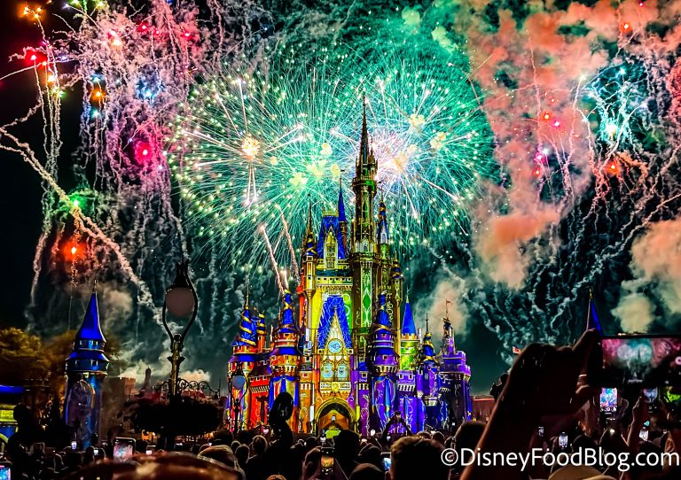Disney World Fireworks and Nighttime Spectacular Viewing | the disney ...