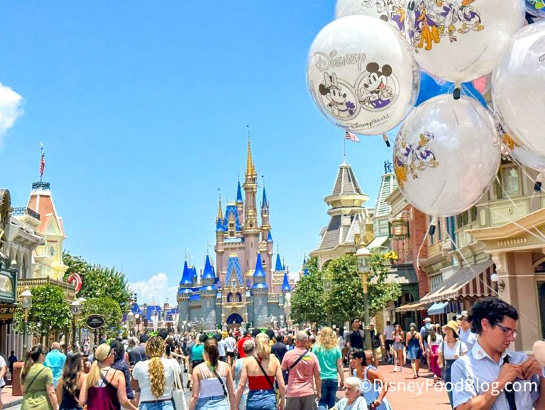 12 Kinda Embarrassing Things You Need at Disney World (Don't Worry, We ...