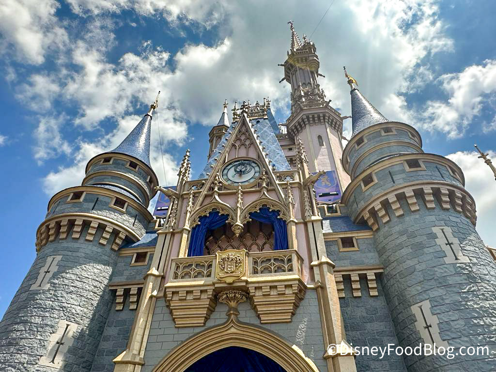 OMG, We Get It, Disney. We Need to Upgrade Our Kitchens!