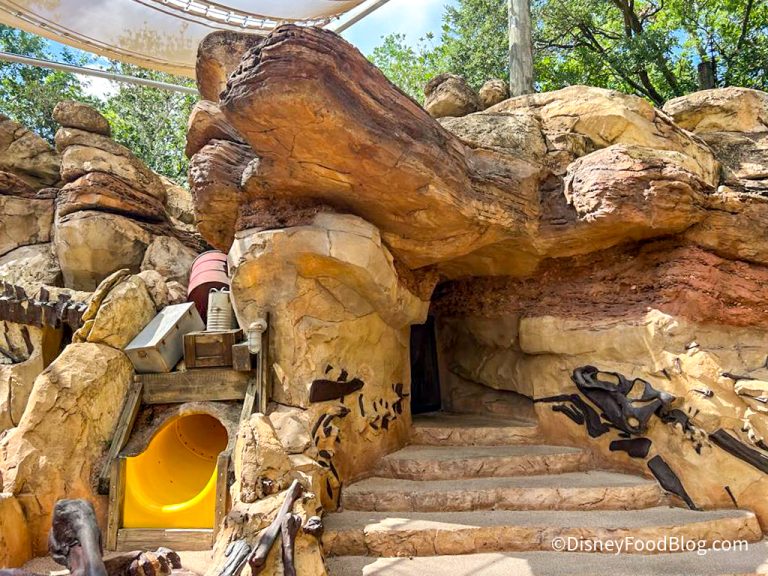 An Attraction Finally Reopened In Disney's Animal Kingdom 