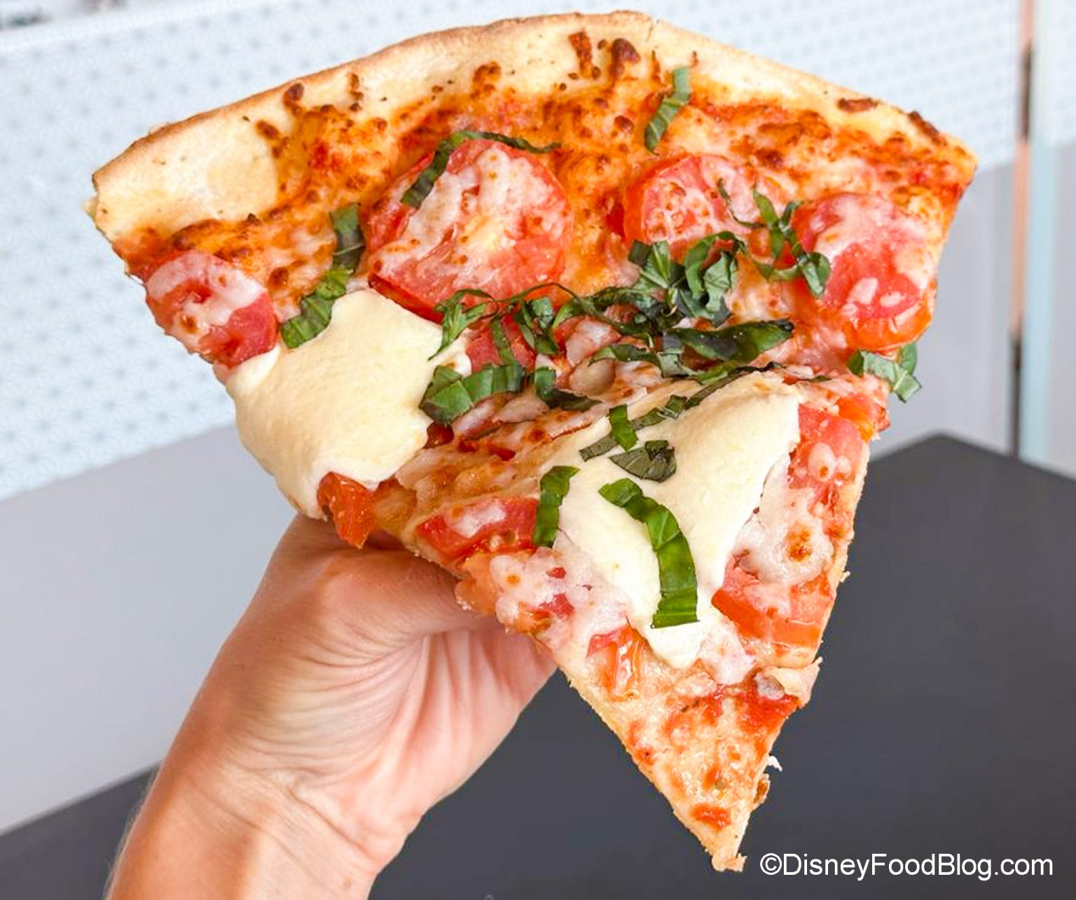 The BEST Counter Service Restaurants In Disney World In 2024 The   2023 Wdw Epcot Connections Cafe And Eatery Margherita Pizza 4 1536x1285 