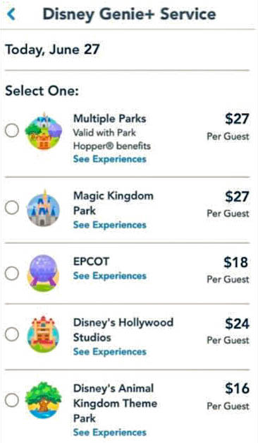 disney magic kingdom park tickets